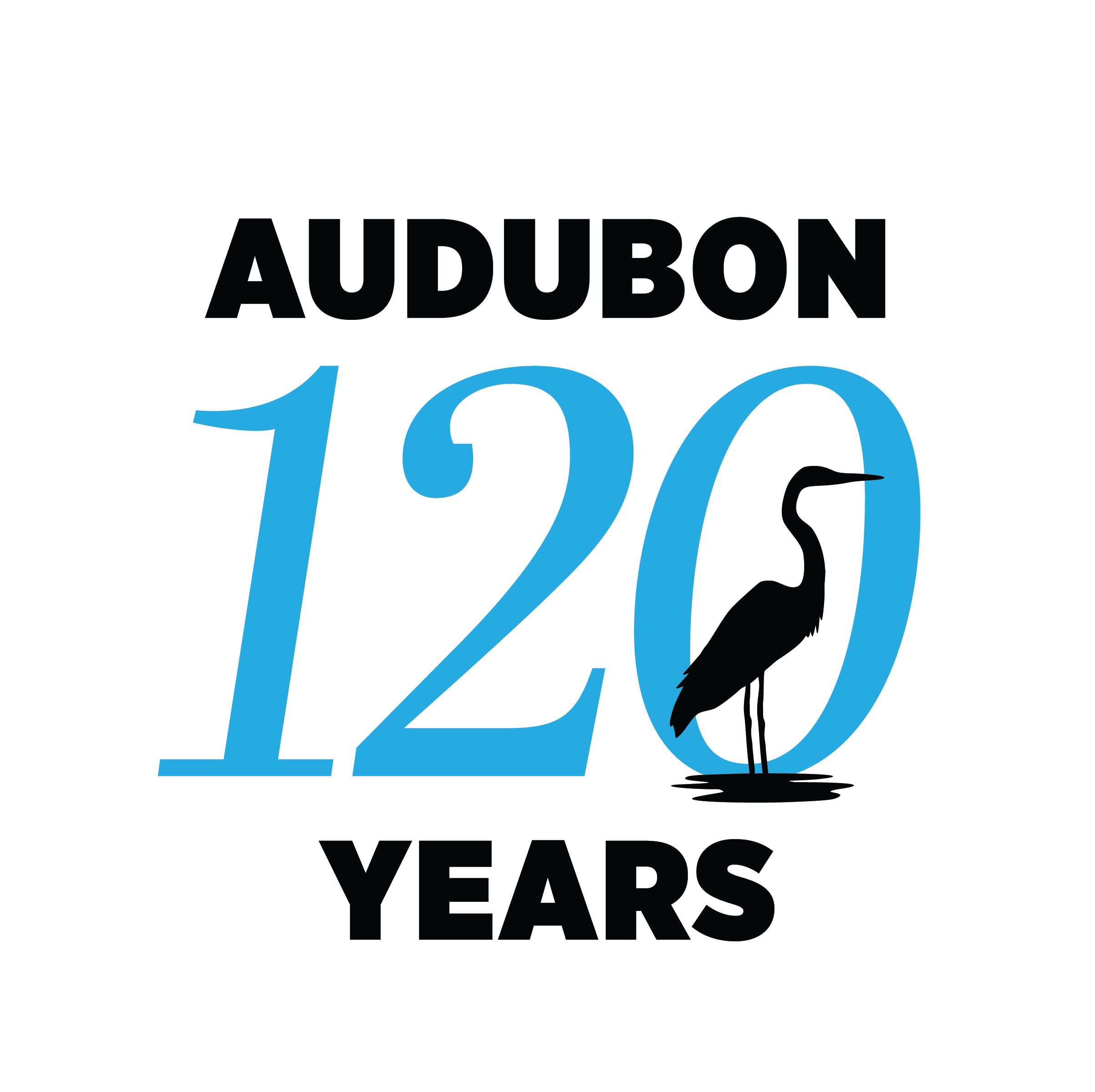 120th Anniversary Seal