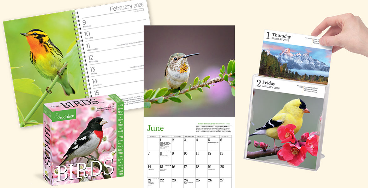 2026 Audubon calendars.