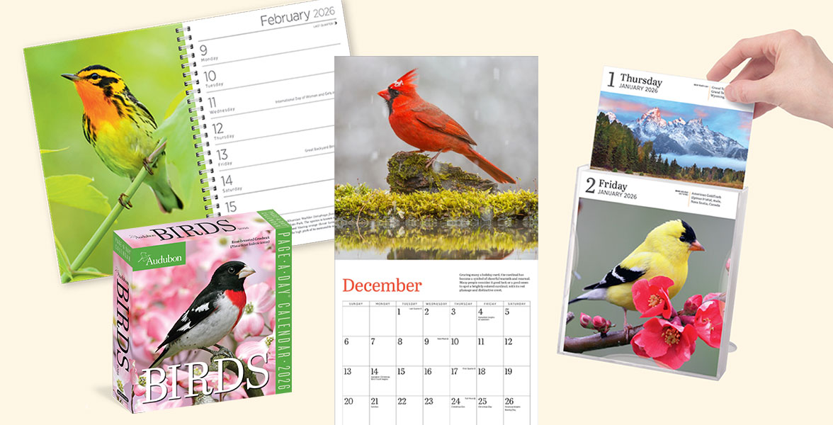Audubon 2026 Calendar Collection