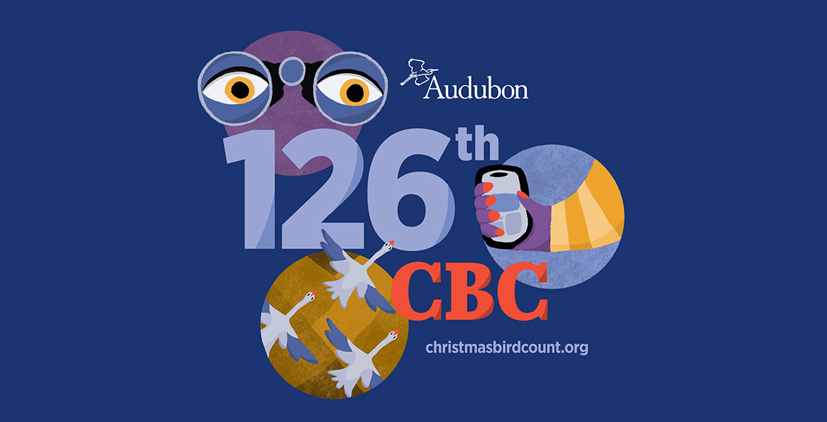 126th Christmas Bird Count.