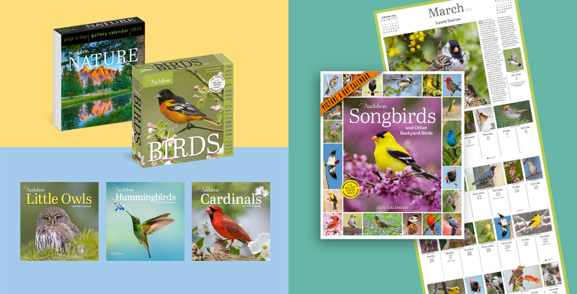 Audubon 2026 Calendar Collection