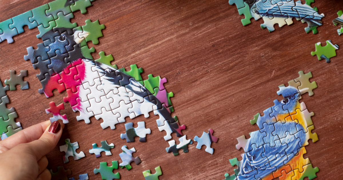 An unfinished Audubon Songbird Collage 1000-Piece Puzzle on a table.