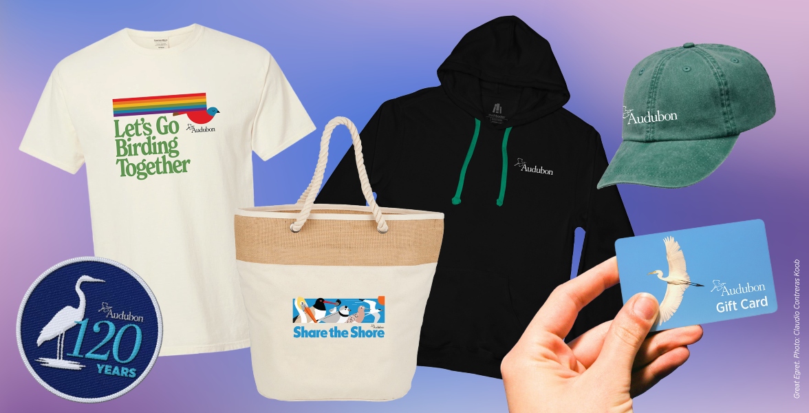 From left to right: 120th Anniversary Collection sticker, Let's Go Birding Together t-shirt, Share the Shore tote bag, Audubon logo hoodie, Audubon logo hat, and an Audubon gift card held by a hand.