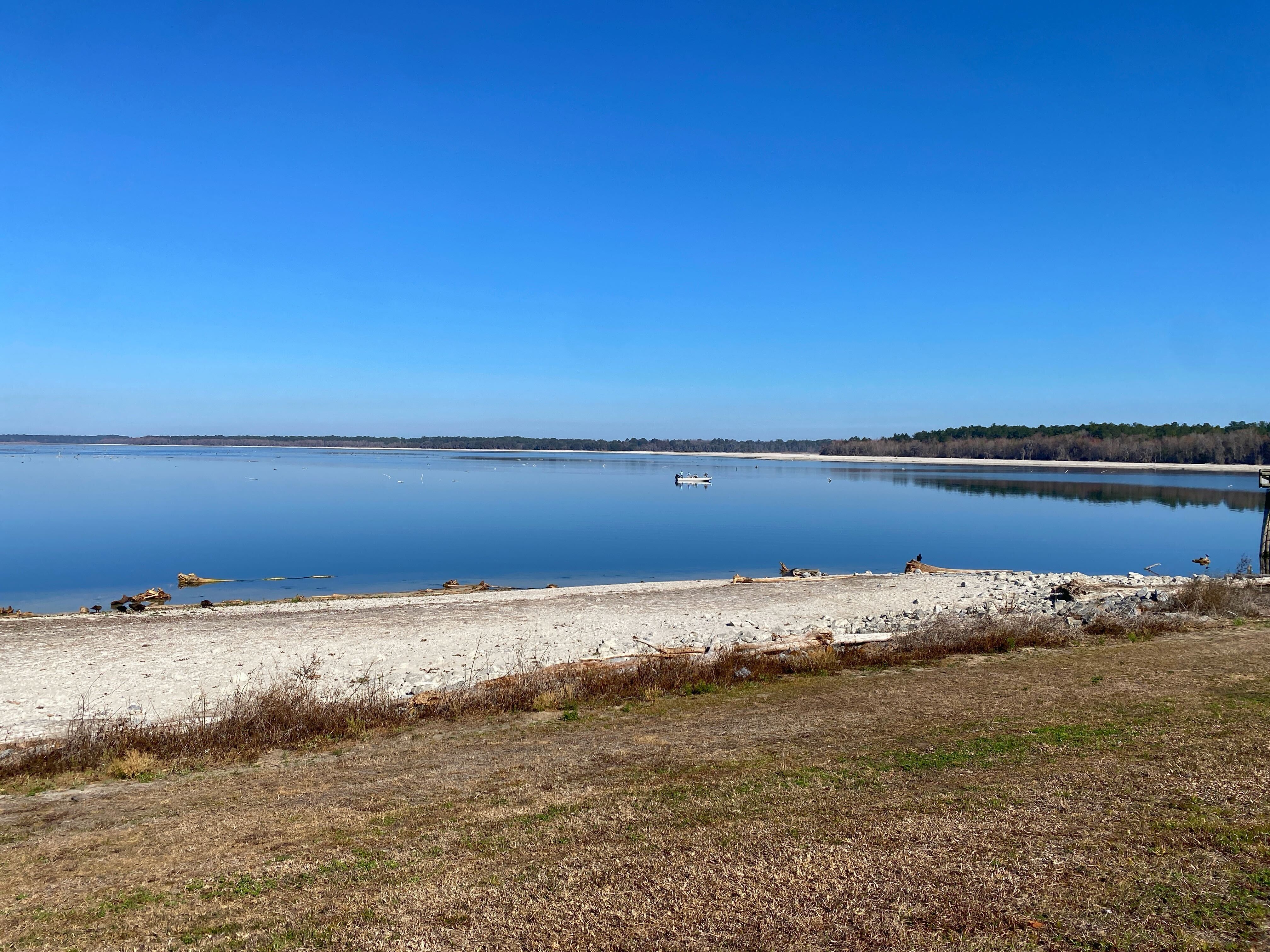 lake edge under a blue sky