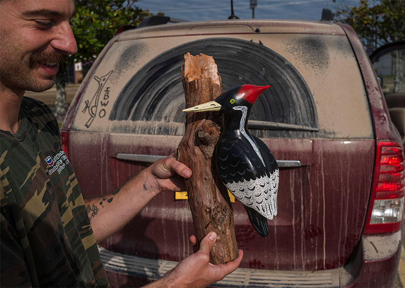 In the foreground, a person holds a piece of wood with a wooden Ivory-billed Woodpecker perched on it. Behind them is a dusty car.