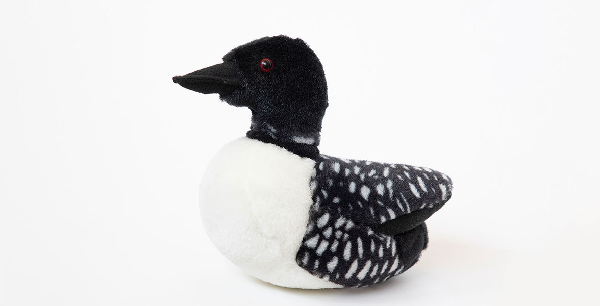 Common Loon plush.