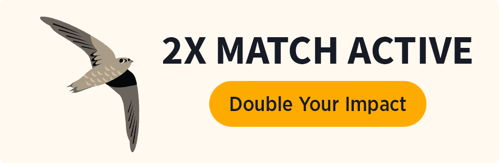 2X Match Active [Double Your Impact]