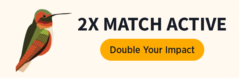 2X Match Active [Double Your Impact]