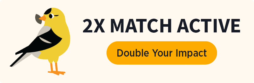 2X Match Active [Double Your Impact]