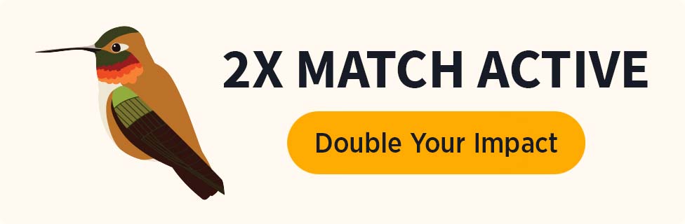 2X Match Active [Double Your Impact]