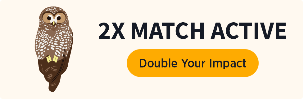 2026 Earth Day challenge graphic | Spotted Owl