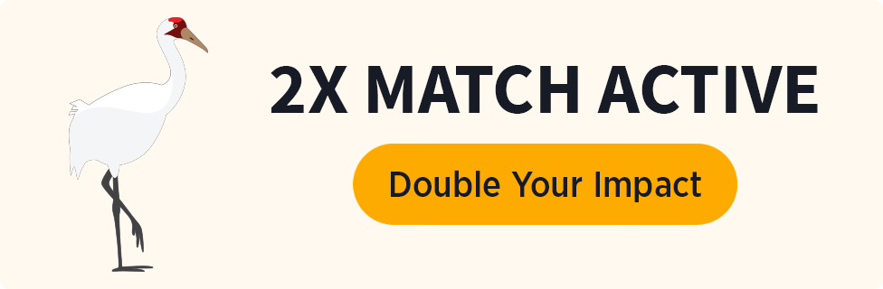 2X Match Active [Double Your Impact]
