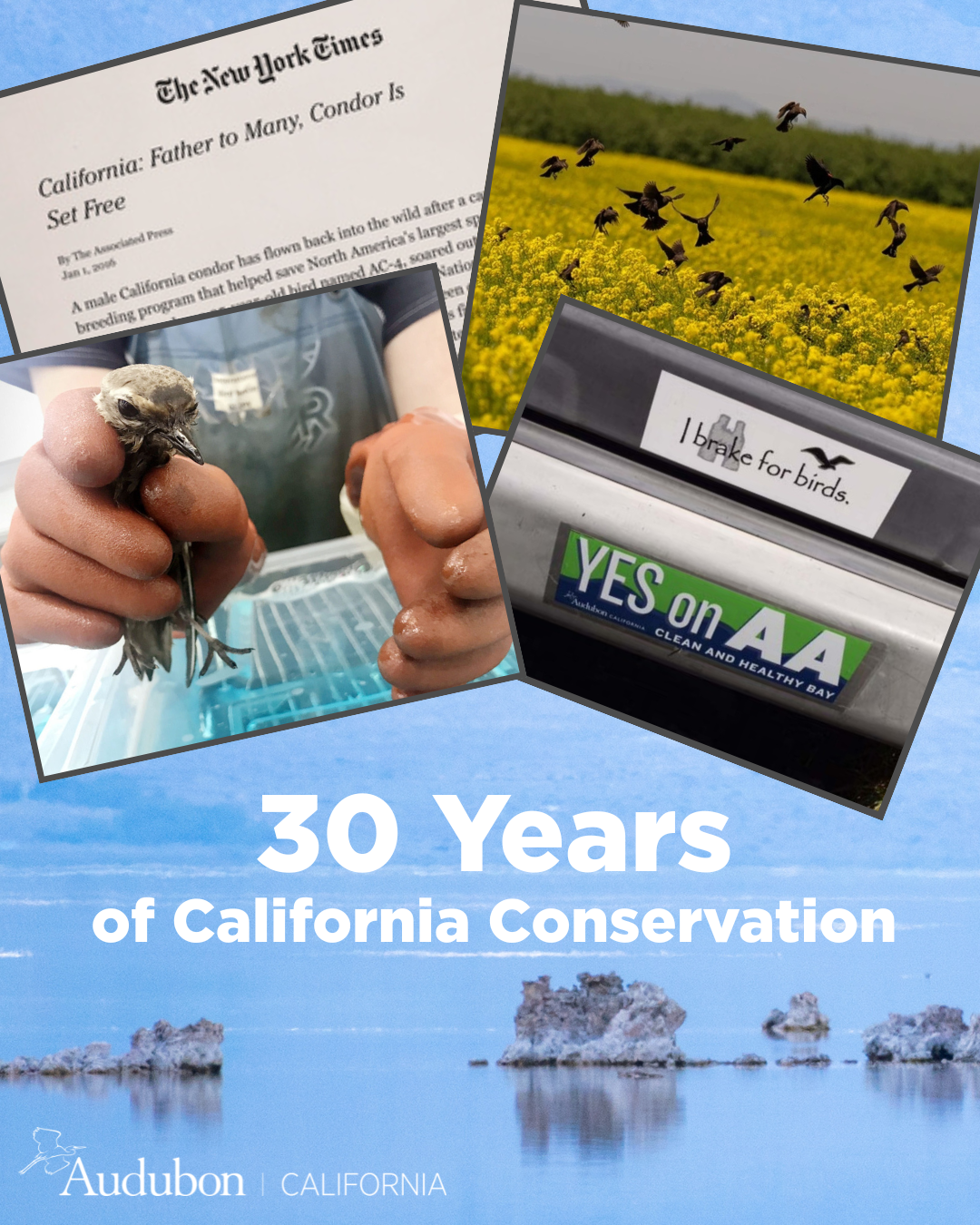 Join Audubon California's IG community.