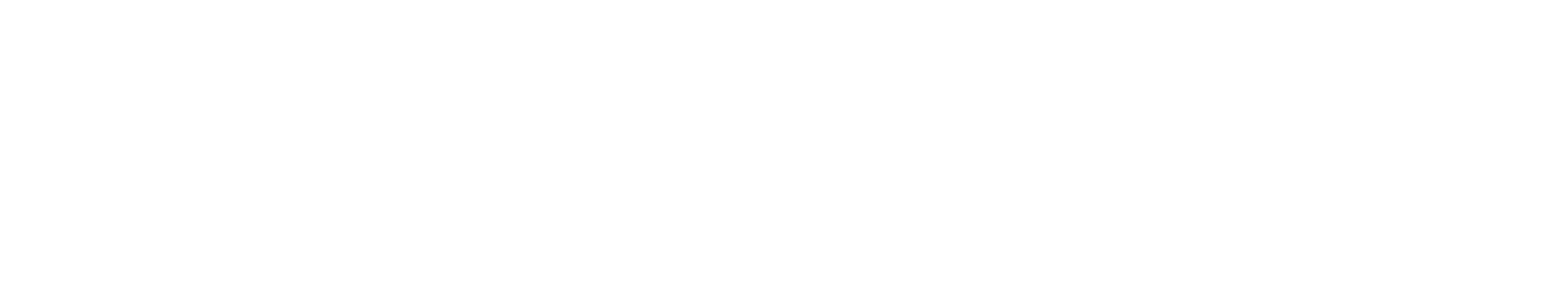 Audubon Texas
