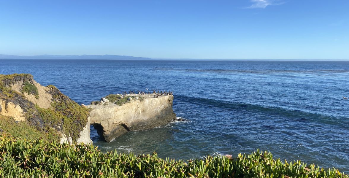 California Marine IBA.