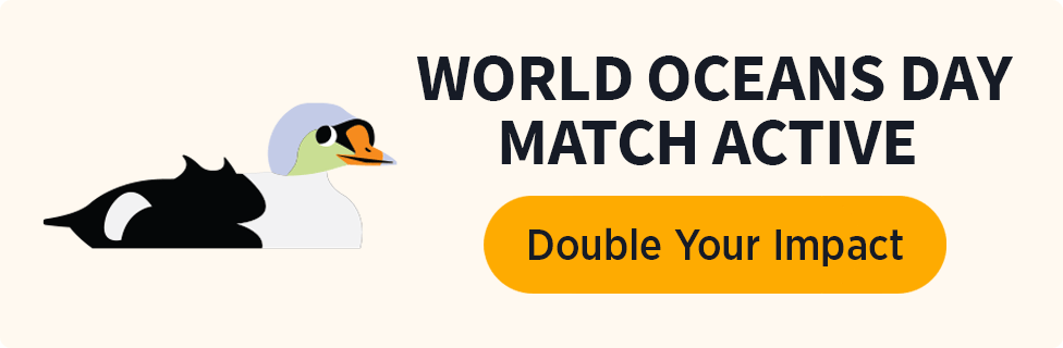 WORLD OCEANS DAY MATCH ACTIVE [DOUBLE YOUR IMPACT]