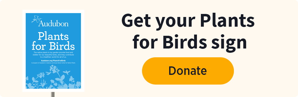 Get your Plants for Birds sign