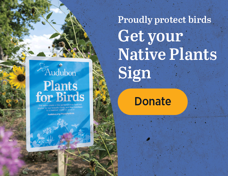 Proudly protect birds Get your Native Plants Sign [Donate]