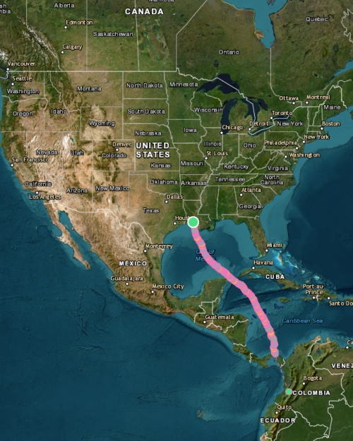 A map of the Lesser Yellowlegs migration.