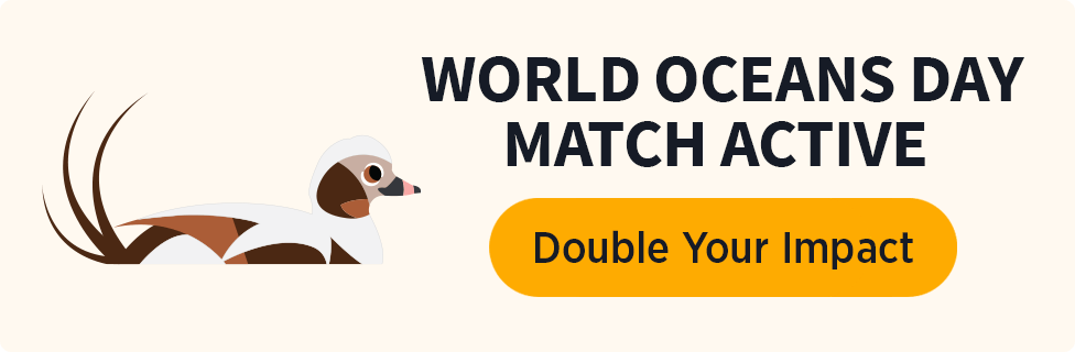 WORLD OCEANS DAY MATCH ACTIVE [DOUBLE YOUR IMPACT]