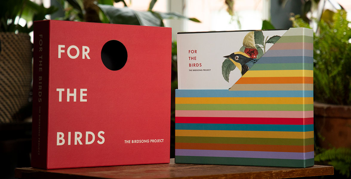 The cover of the "For the Birds: The Birdsong Project" box set next to its contents.