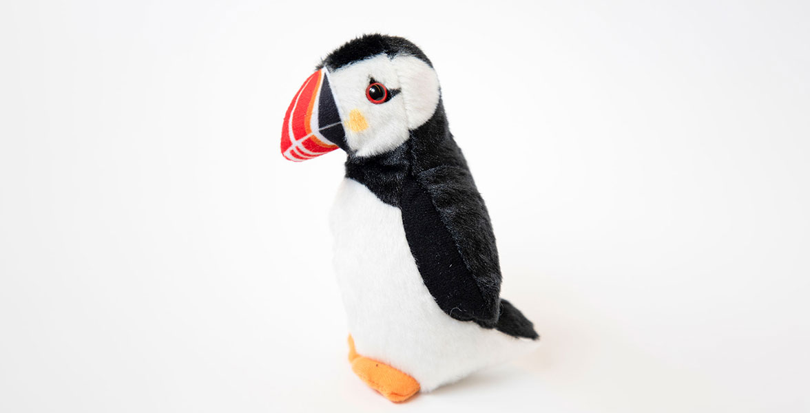 An Atlantic Puffin plush.