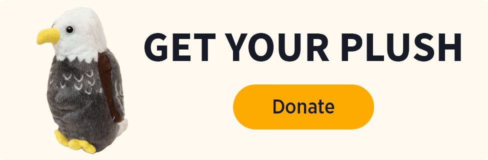 Get your Plush [Donate]