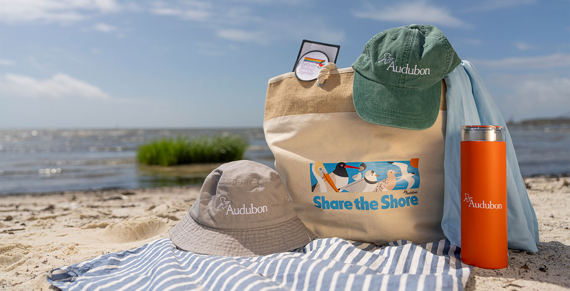 A Share the Shore totebag surrounded by Audubon logo hats and a water bottle on a sandy beach overlooking the ocean.