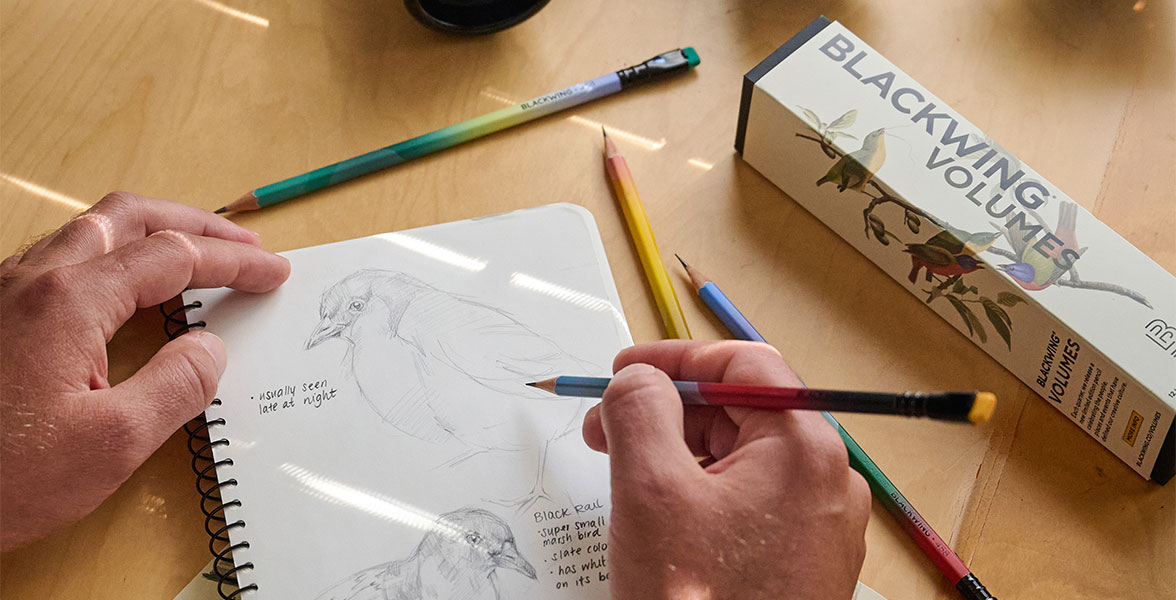 A person's hand holds a Blackwing pencil to a notebook, as if to sketch a bird. A box of Vol. 458 Blackwing pencils sits nearby.
