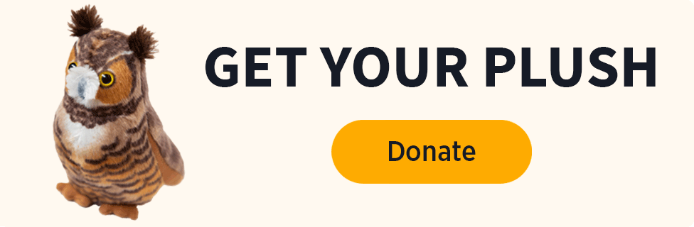 Get your Plush [Donate]