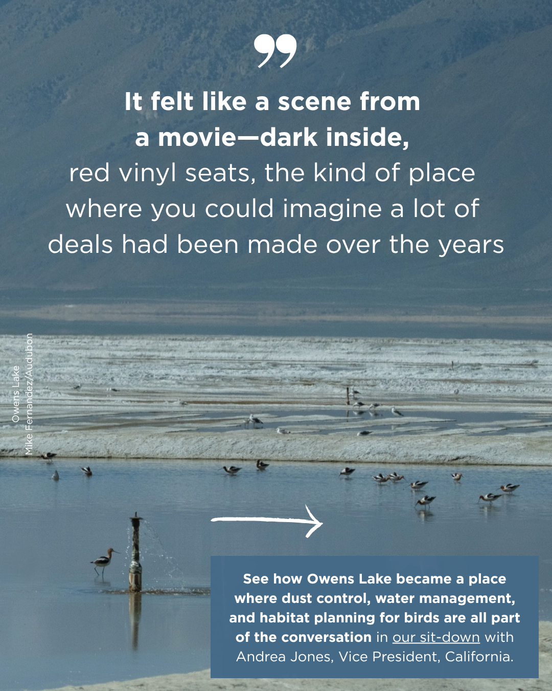 Owens Lake. Photo: Mike Fernandez. 