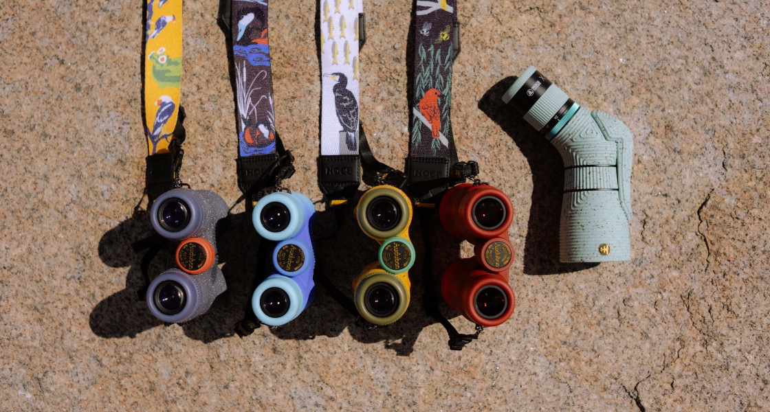 Four binoculars and one monoscope lined up in a row.