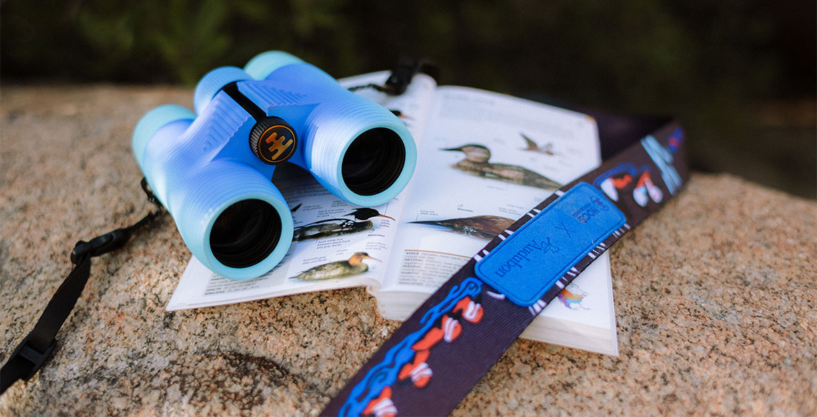 A pair of binoculars next to a field guide.