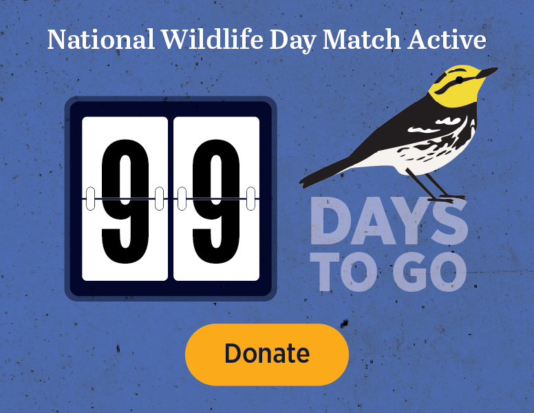 National Wildlife Day match Active. 4 Days to go. [Donate]