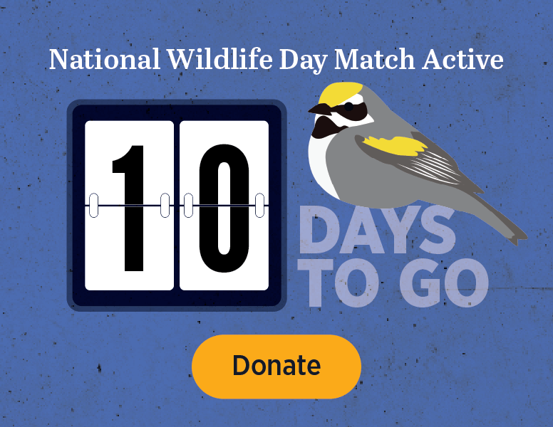National Wildlife Day match Active. Final Day [Donate]