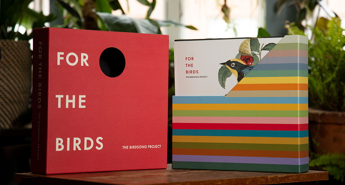 The Birdsong Project box set cover next to the vinyl records.