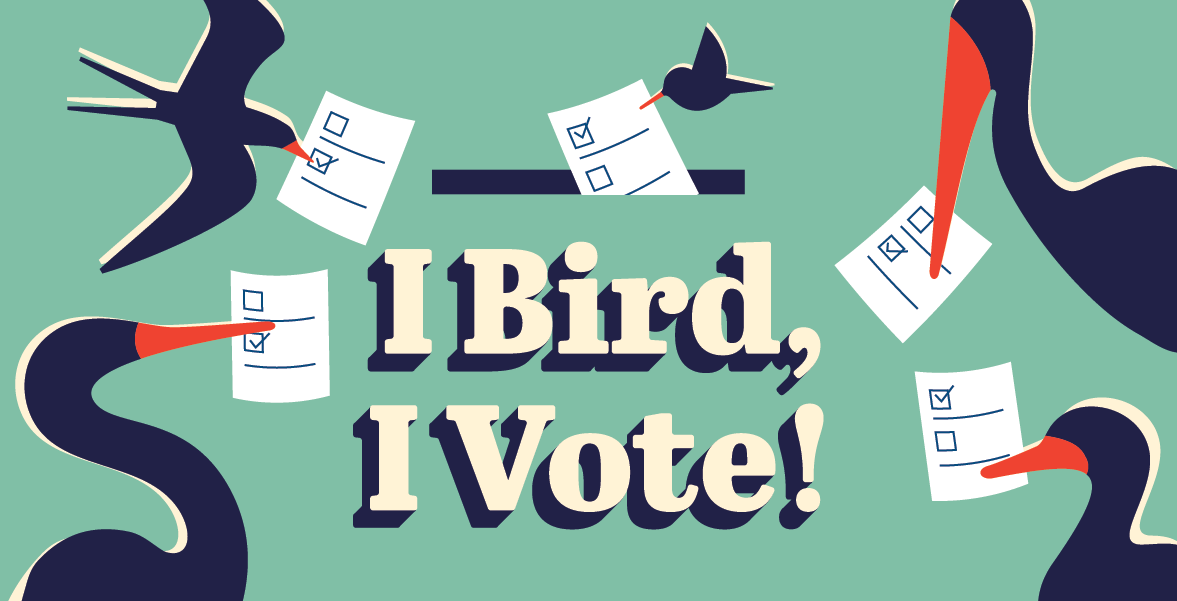 I Bird, I Vote graphic with four birds dropping off their ballots