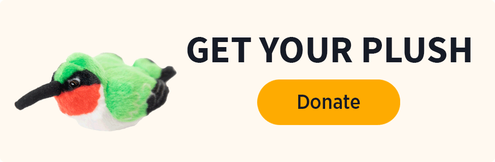 Get your Plush [Donate]