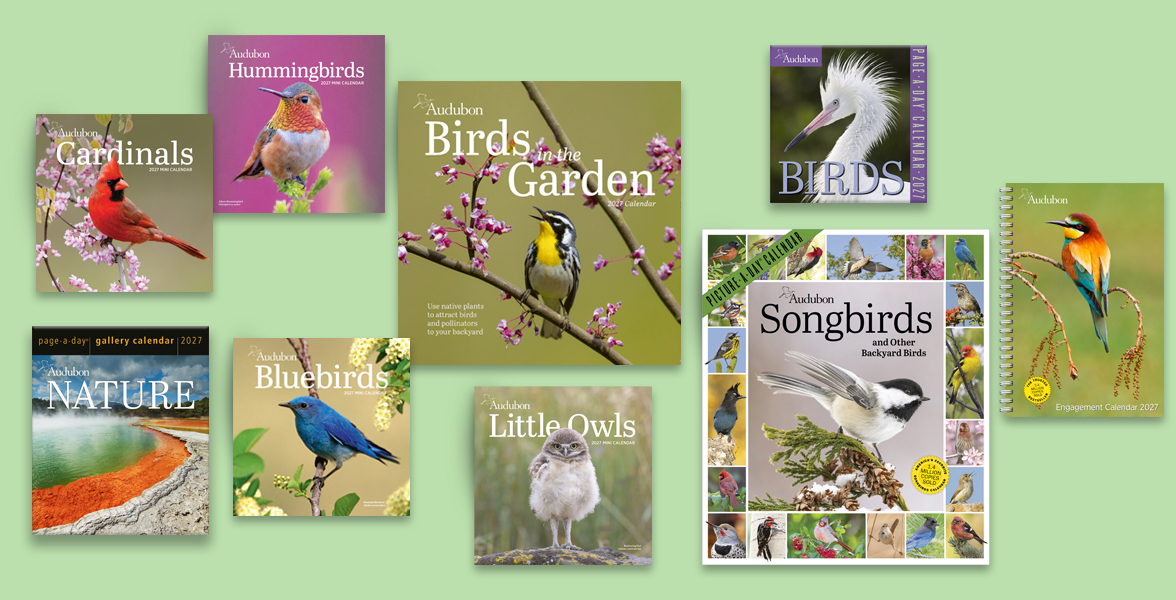 A collage of 2027 Audubon calendars.