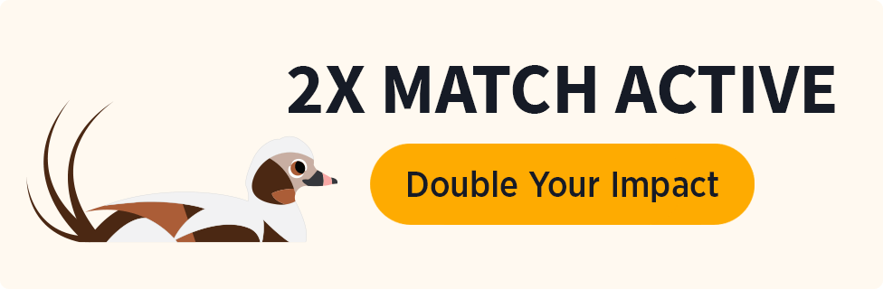 2X Match Active [Double Your Impact]