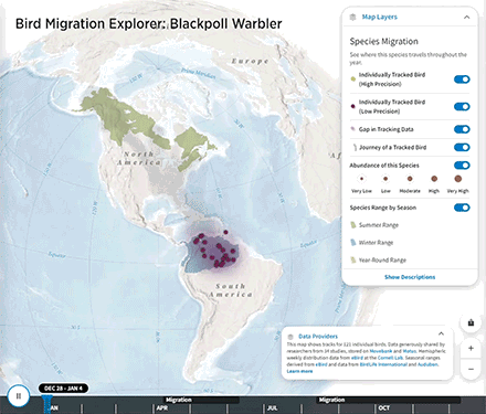 The Blackpoll Warbler's Species Migration Map.