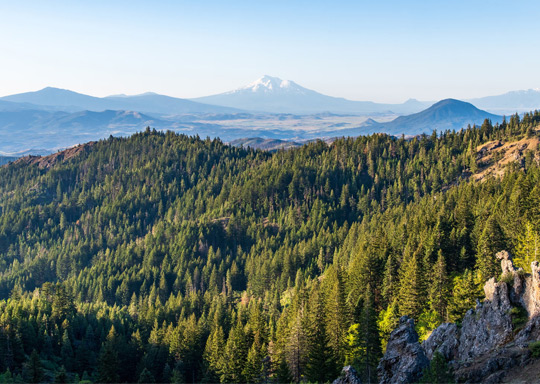 Photo of Cascade-Siskiyou National Monument.