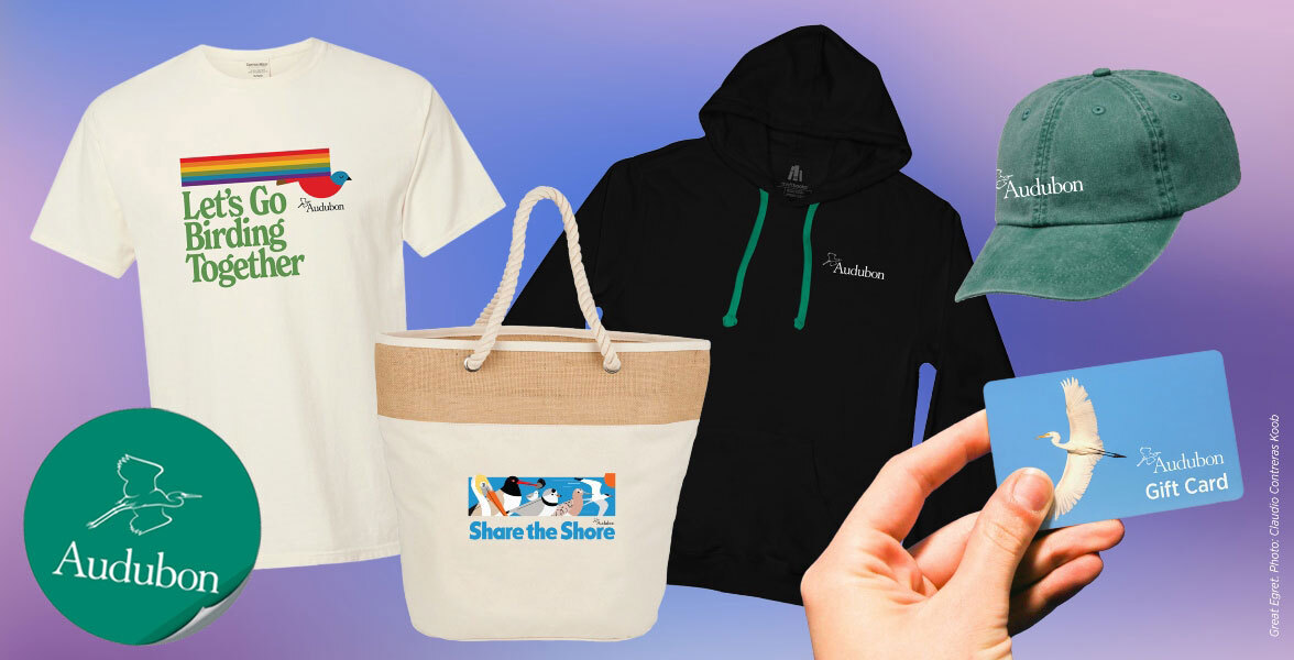 From left to right: A logo sticker, a Let's Go Birding Together t-shirt, a Share the Shore totebag, a logo hoodie, a gift card, and a logo hat.
