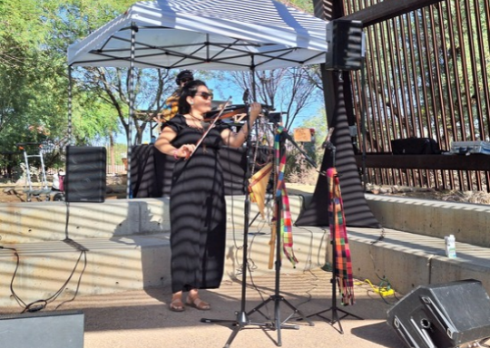 Violinist at Festival